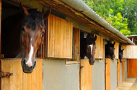 free Buckpool stable construction quotes